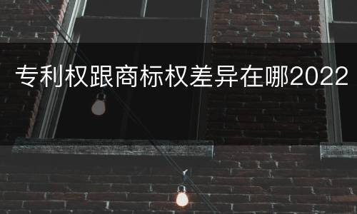 专利权跟商标权差异在哪2022