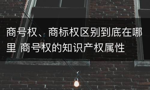 商号权、商标权区别到底在哪里 商号权的知识产权属性