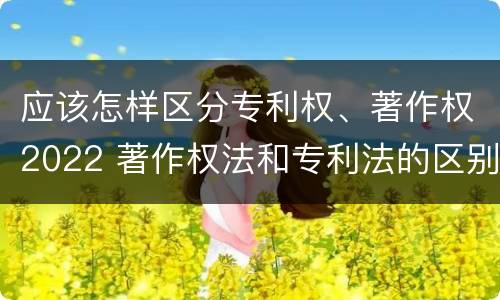 应该怎样区分专利权、著作权2022 著作权法和专利法的区别