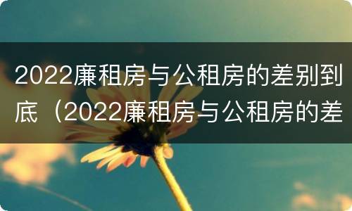 2022廉租房与公租房的差别到底（2022廉租房与公租房的差别到底多大）