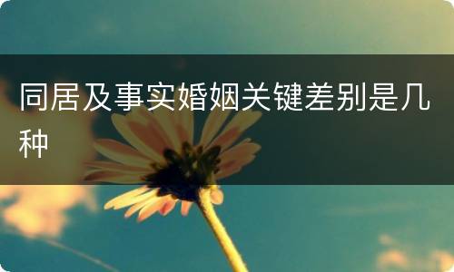 同居及事实婚姻关键差别是几种