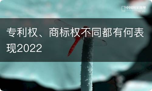 专利权、商标权不同都有何表现2022