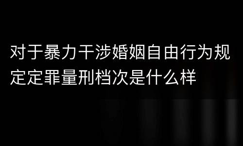 对于暴力干涉婚姻自由行为规定定罪量刑档次是什么样