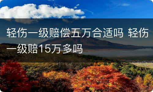 轻伤一级赔偿五万合适吗 轻伤一级赔15万多吗
