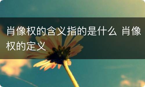 肖像权的含义指的是什么 肖像权的定义