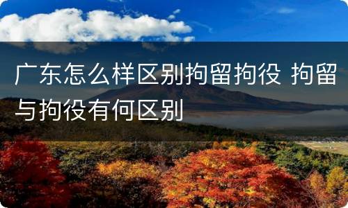 广东怎么样区别拘留拘役 拘留与拘役有何区别
