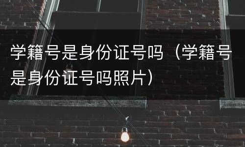 学籍号是身份证号吗（学籍号是身份证号吗照片）