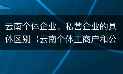云南个体企业、私营企业的具体区别（云南个体工商户和公司）