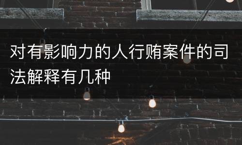 对有影响力的人行贿案件的司法解释有几种