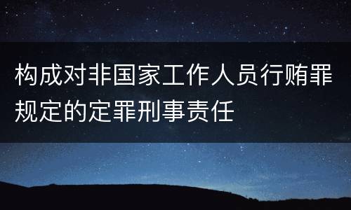 构成对非国家工作人员行贿罪规定的定罪刑事责任