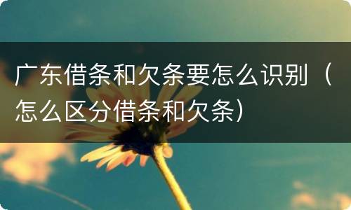 广东借条和欠条要怎么识别（怎么区分借条和欠条）
