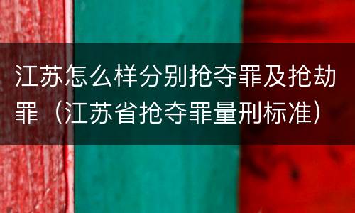 江苏怎么样分别抢夺罪及抢劫罪（江苏省抢夺罪量刑标准）