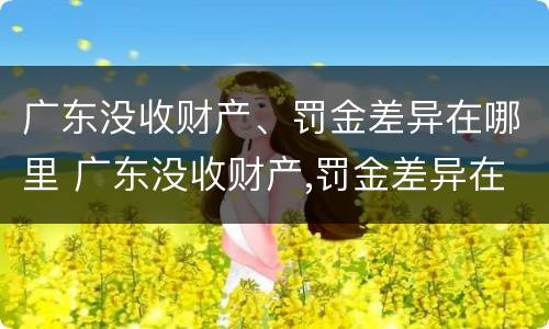 广东没收财产、罚金差异在哪里 广东没收财产,罚金差异在哪里缴纳