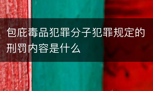 包庇毒品犯罪分子犯罪规定的刑罚内容是什么
