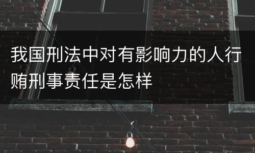 我国刑法中对有影响力的人行贿刑事责任是怎样