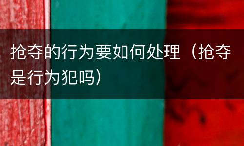 抢夺的行为要如何处理（抢夺是行为犯吗）