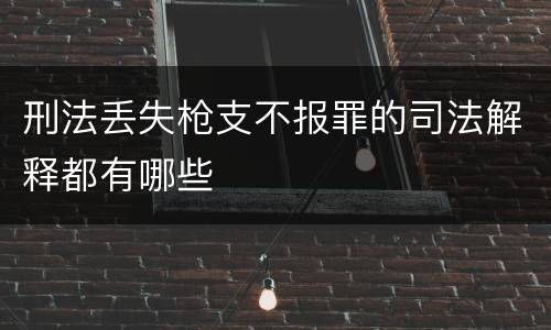 刑法丢失枪支不报罪的司法解释都有哪些