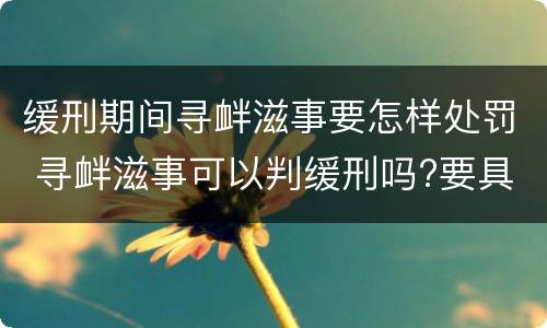 缓刑期间寻衅滋事要怎样处罚 寻衅滋事可以判缓刑吗?要具备哪些条件
