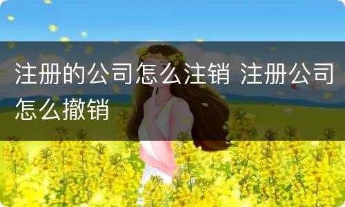 注册的公司怎么注销 注册公司怎么撤销