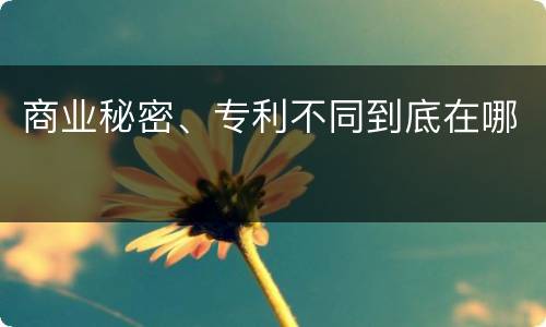 商业秘密、专利不同到底在哪