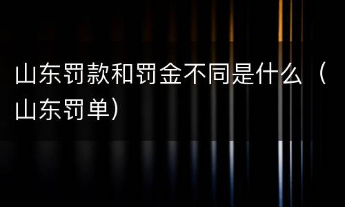 山东罚款和罚金不同是什么（山东罚单）