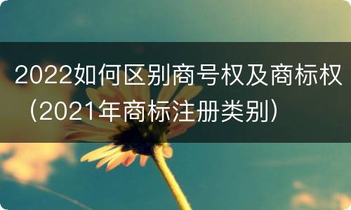 2022如何区别商号权及商标权（2021年商标注册类别）