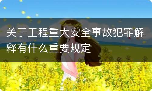 关于工程重大安全事故犯罪解释有什么重要规定