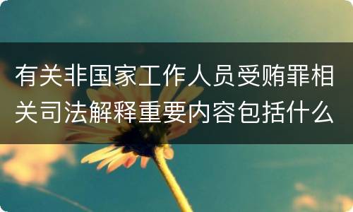 有关非国家工作人员受贿罪相关司法解释重要内容包括什么