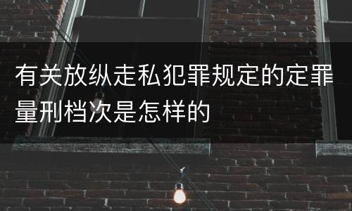 有关放纵走私犯罪规定的定罪量刑档次是怎样的