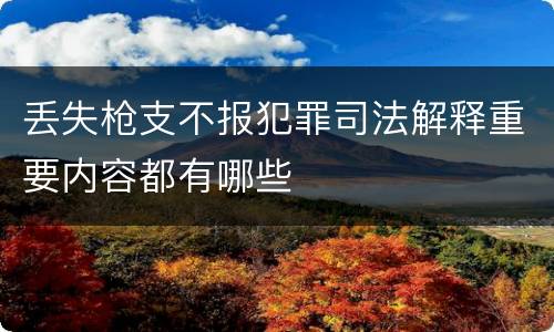 丢失枪支不报犯罪司法解释重要内容都有哪些