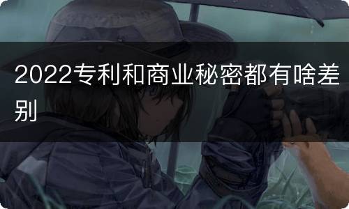 2022专利和商业秘密都有啥差别