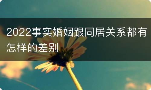 2022事实婚姻跟同居关系都有怎样的差别