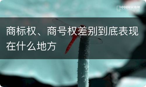 商标权、商号权差别到底表现在什么地方
