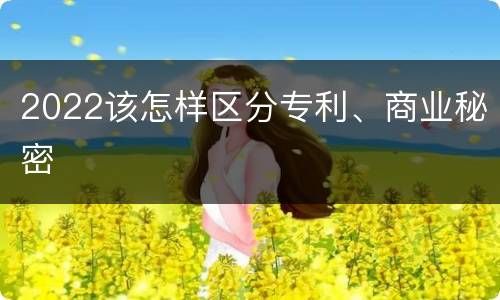 2022该怎样区分专利、商业秘密