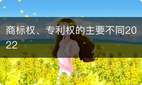 商标权、专利权的主要不同2022