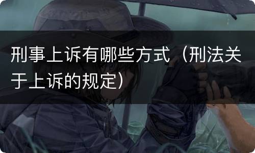 刑事上诉有哪些方式（刑法关于上诉的规定）