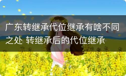 广东转继承代位继承有啥不同之处 转继承后的代位继承