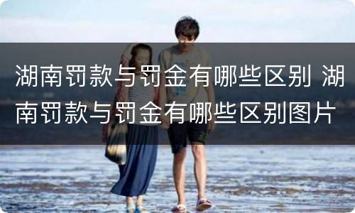湖南罚款与罚金有哪些区别 湖南罚款与罚金有哪些区别图片