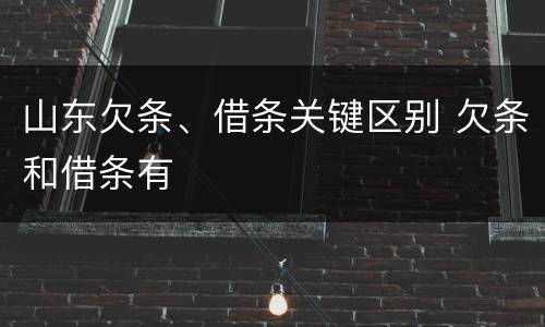 山东欠条、借条关键区别 欠条和借条有