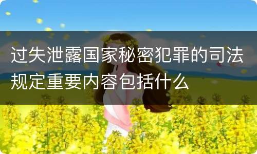 过失泄露国家秘密犯罪的司法规定重要内容包括什么