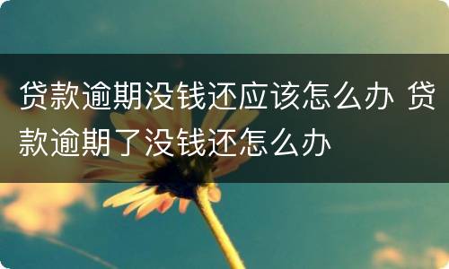 贷款逾期没钱还应该怎么办 贷款逾期了没钱还怎么办