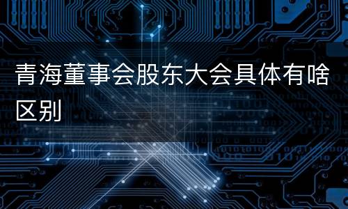 青海董事会股东大会具体有啥区别