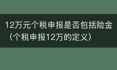 12万元个税申报是否包括险金（个税申报12万的定义）