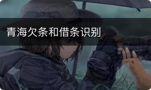 青海欠条和借条识别