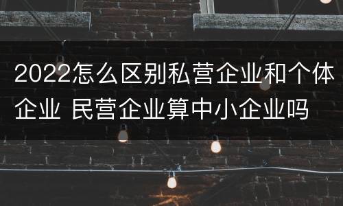 2022怎么区别私营企业和个体企业 民营企业算中小企业吗