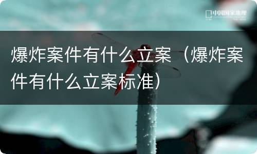 爆炸案件有什么立案（爆炸案件有什么立案标准）