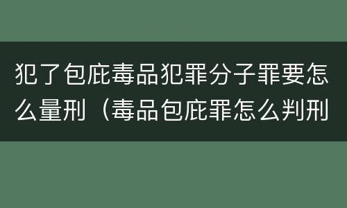 犯了包庇毒品犯罪分子罪要怎么量刑（毒品包庇罪怎么判刑）
