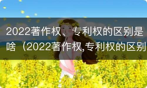2022著作权、专利权的区别是啥（2022著作权,专利权的区别是啥呀）