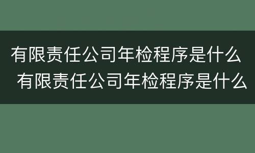 有限责任公司年检程序是什么 有限责任公司年检程序是什么