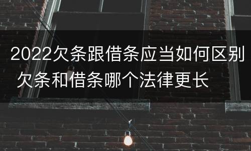 2022欠条跟借条应当如何区别 欠条和借条哪个法律更长